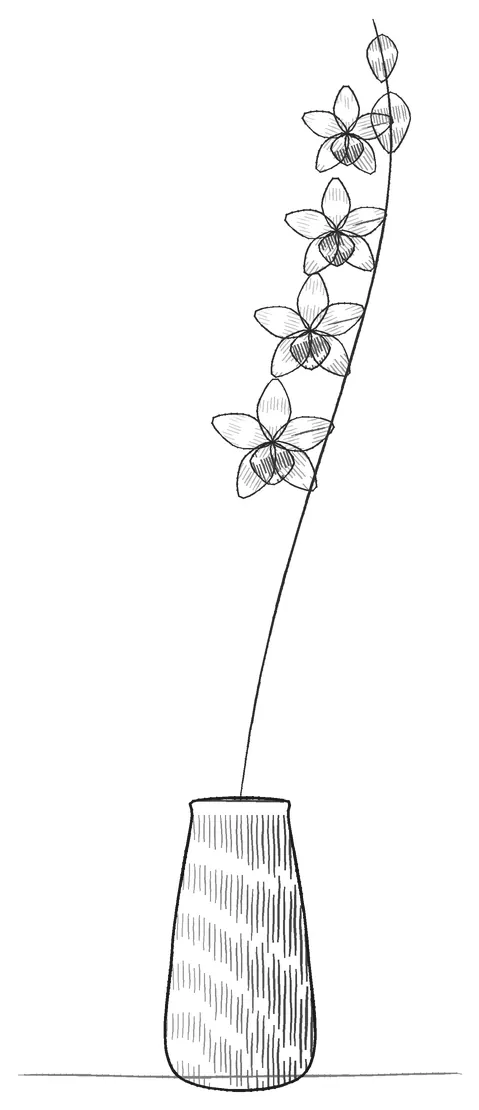 A spray of orchids standing in a vase.